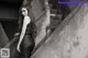A woman in a black dress standing on some stairs.